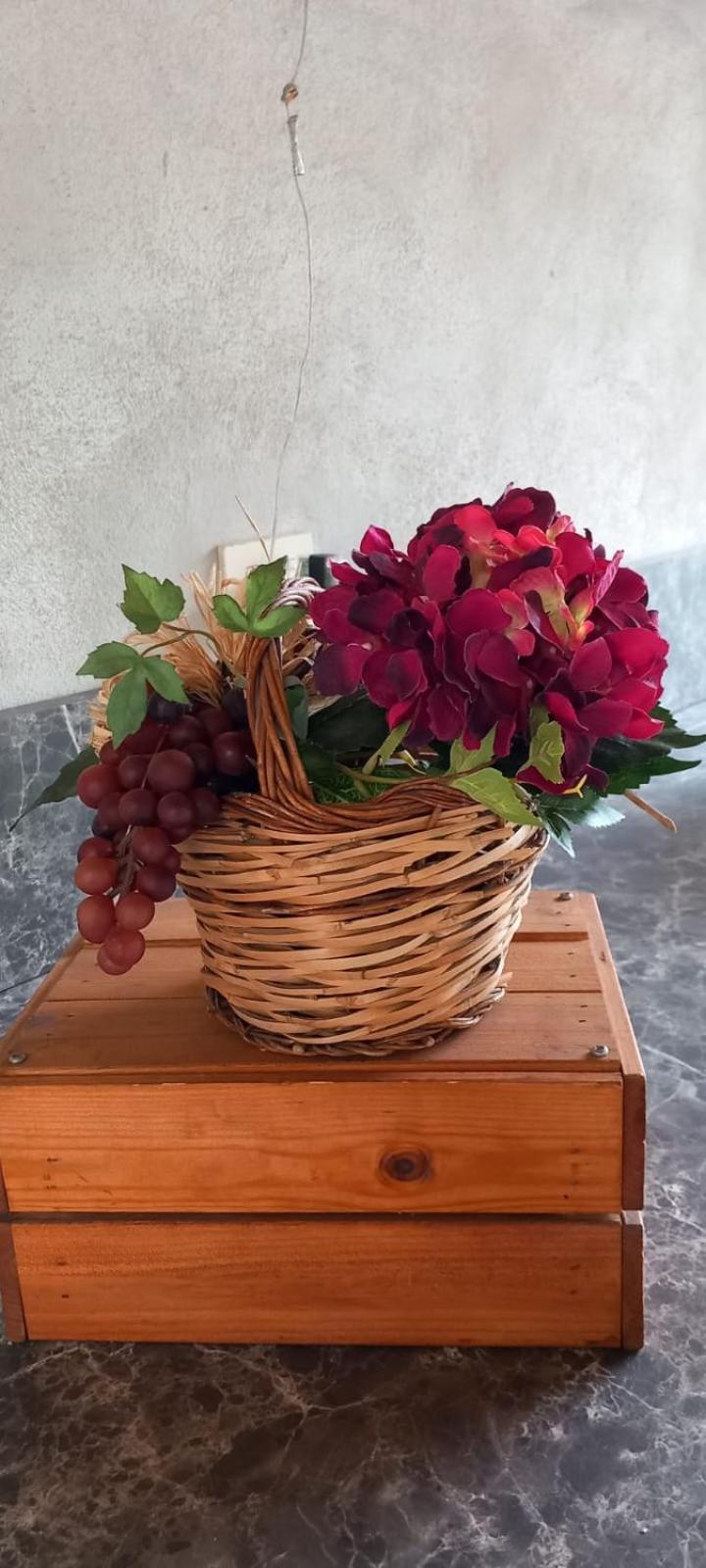 B&B Il Casaletto Monte Porzio Catone Esterno foto